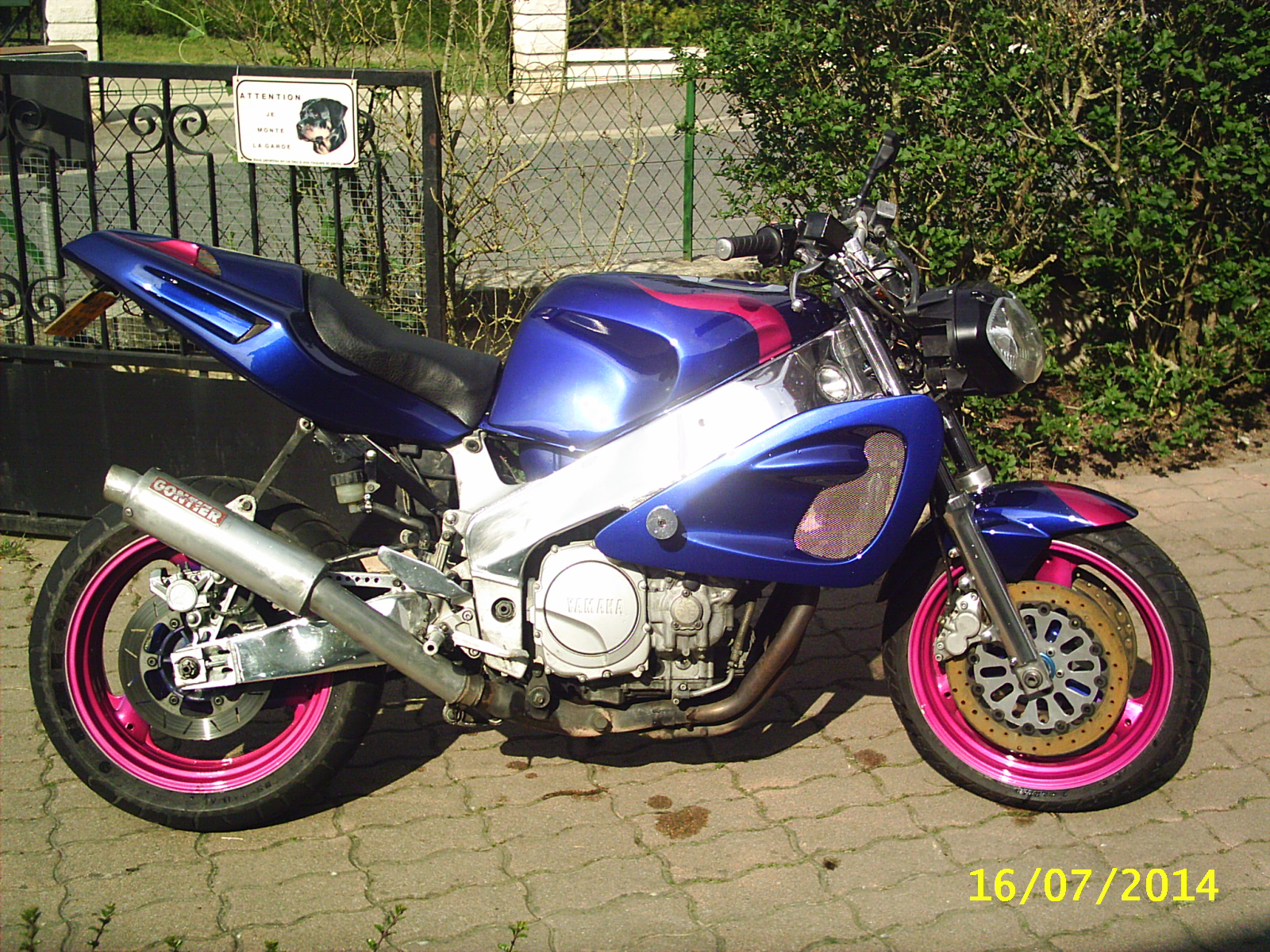 photo